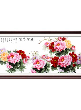 翰澎纯手绘国画牡丹画挂画壁画