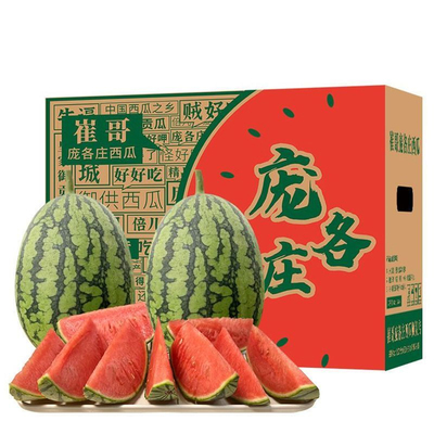 老崔哥现摘小西瓜脆甜头茬吊瓜