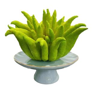 云南特大佛手柑鲜果带枝叶新年装饰室内盆栽天然香薰新鲜观赏闻香