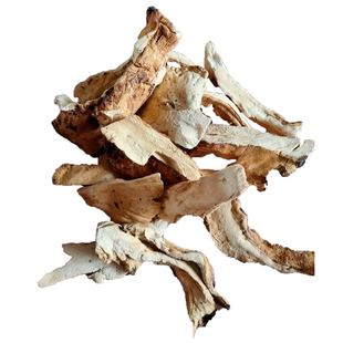 长白山野生硫磺菌250g黄枝正品深山采摘金芝  树鸡蘑