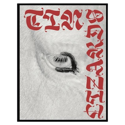 预售 ROBERT LEBLANC | Tin Lizards 英文原版摄影集艺术图书籍 英文 艺术摄影 华源时空