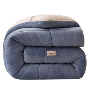 羊羔绒被子2025新款冬季棉被被芯冬天宿舍学生秋冬被加厚保暖被芯