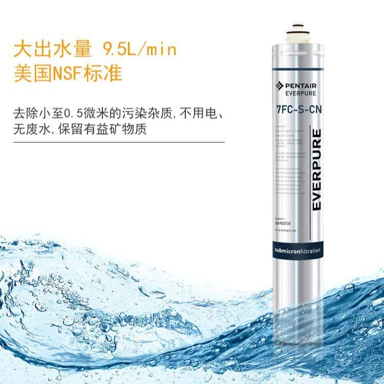 滨特尔爱惠浦7FC-S滤芯/EV9692-21主滤芯 咖啡机制冰机奶茶店专用