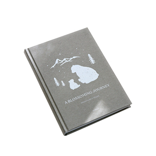 韩国INDIGO孕期纪念册资料记录b超收纳怀孕日记送准妈妈礼物礼盒