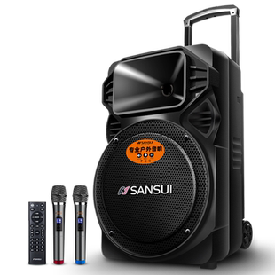山水A12-66户外音响广场舞K歌蓝牙大功率拉杆音箱卡拉0k一体机