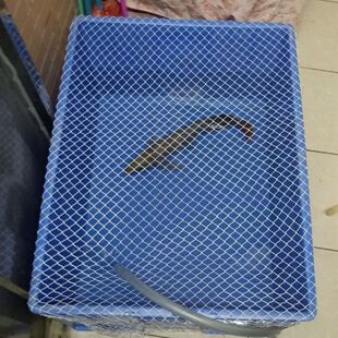 乌龟缸防护顶盖防逃逸防抓水族缸专用防逃网罩