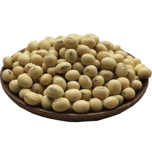 新黄豆5斤 农家老品种土黄豆 豆浆豆腐原料苏北黑脐王大黄豆包邮