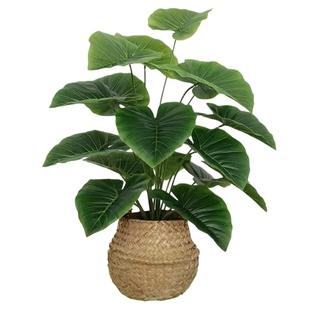 仿真小绿植龟背竹盆栽室内落地办公室客厅桌面摆件装饰假植物造景