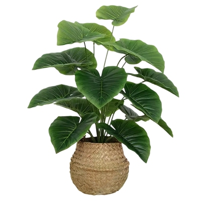 仿真小绿植龟背竹盆栽室内落地办公室客厅桌面摆件装饰假植物造景