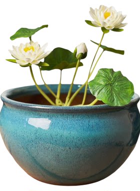水培花盆碗莲莲花盆陶瓷铜钱草盆