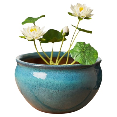 水培花盆碗莲莲花盆陶瓷铜钱草盆