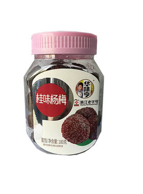 酸甜蜜饯特产青梅梅子零食泡茶
