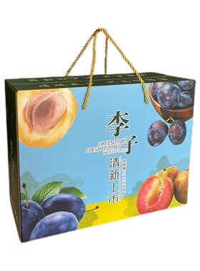 李子包装盒纸箱定制手提礼盒批发