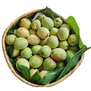 新木瓜云南临沧酸木瓜云县野生红花木瓜新鲜酸脆水果炖鸡泡酒