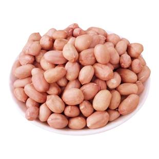 2025年新花生米生的商用精品红皮花生米商用精品优质子白沙花生仁