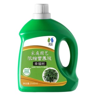 幸福树专用营养液肥料专治叶子干枯落叶阳台绿植盆栽通用型液体肥