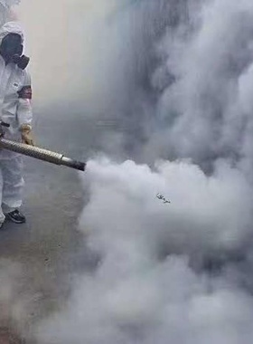 水雾烟雾脉冲手提两用厂家外贸果园养殖打84次氯酸农药喷雾弥雾机