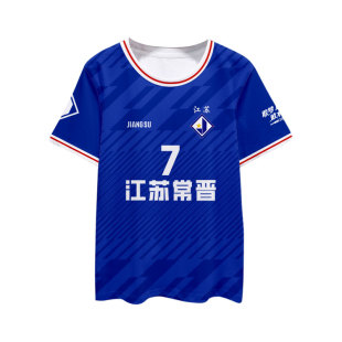 2026赛季江苏常晋队服球员版足球衣服速干短袖T恤衫男女冰丝半袖
