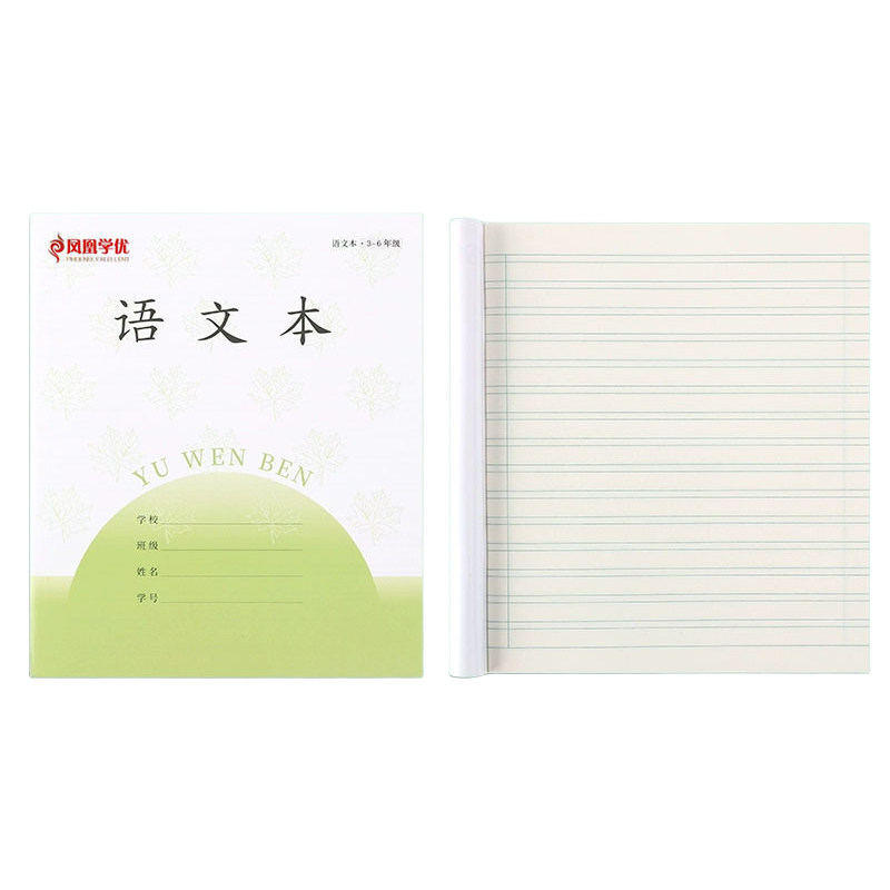 2025新版凤凰少年同款作业本