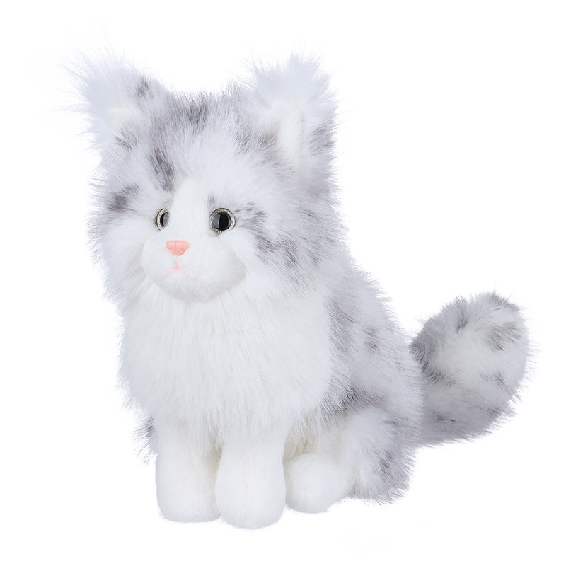 Apricotlamb银斑缅因猫洛洛