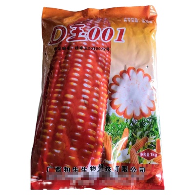 可矮杆大棒产量高玉米种子D玉001