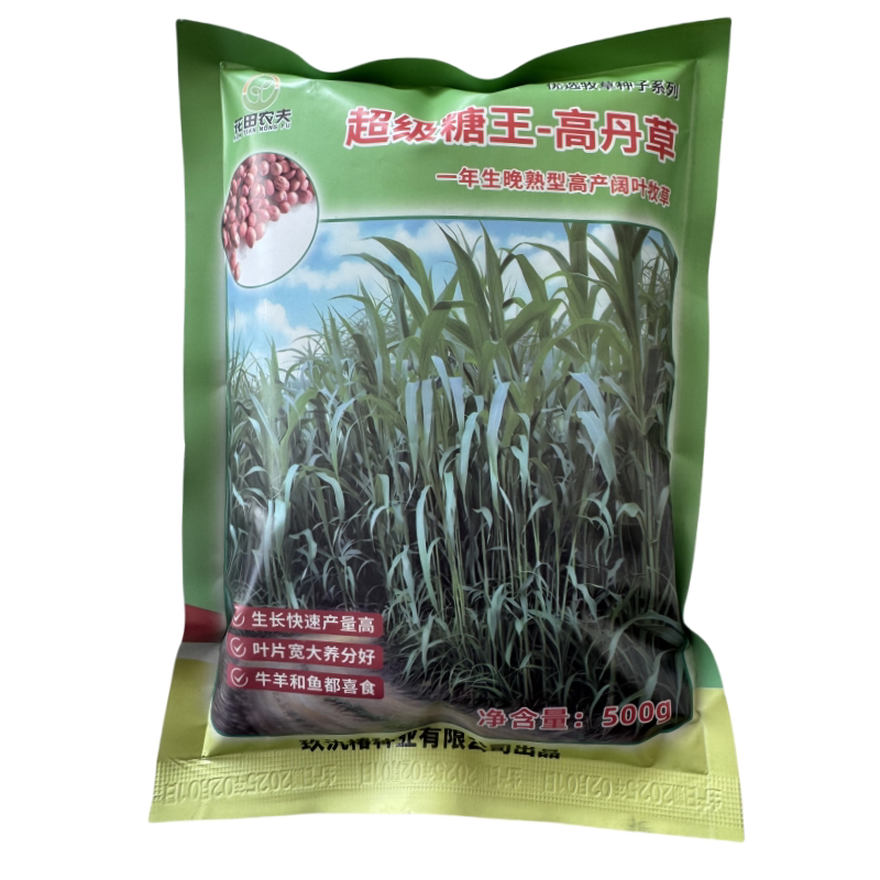 进口杂交苏丹高产猪牛羊牧草种子