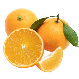 【官方直营现货】正宗象山红美人柑橘爱媛糖度12+吉象款礼盒5斤