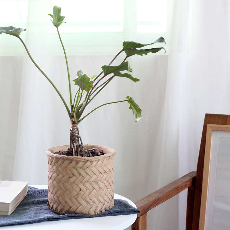 日式竹编水泥花盆室内盆栽陶瓷仿编织复古藤编龟背竹植物套盆大号