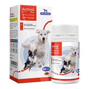 新西兰安它替诺软骨素Antinol277猫狗宠物关节胶囊官方授权店