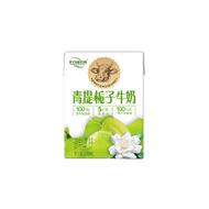 光合颜究所青提栀子+桂馥兰香牛奶组合12盒装好喝健康甄选200ml