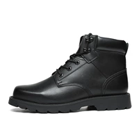 Черный низкий