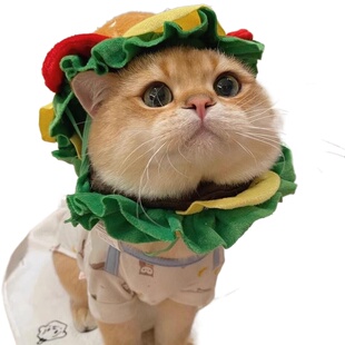 猫咪汉堡头套宠物帽子狗狗头饰小型犬搞怪可爱拍照道具装扮服饰品