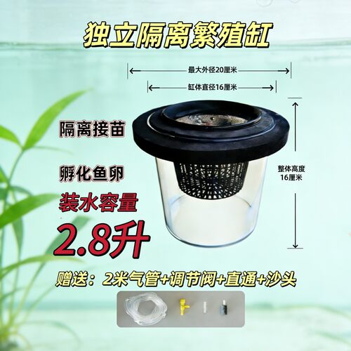大号独立繁殖缸不污染原缸水玛丽球鱼孔雀鱼繁殖隔离繁殖罐孵化器