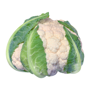 青梗松花菜种子种籽秋后花菜菜花花椰菜高产秋冬夏季四季蔬菜苗孑