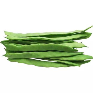 绿龙架豆种子芸豆种籽蔬菜种孑高产扁豆四季豆种豆角春季夏季播