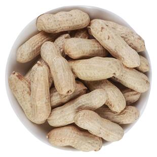 红皮东北四粒红生花生2025新货晒干带壳炒熟红衣花生米花生仁5斤