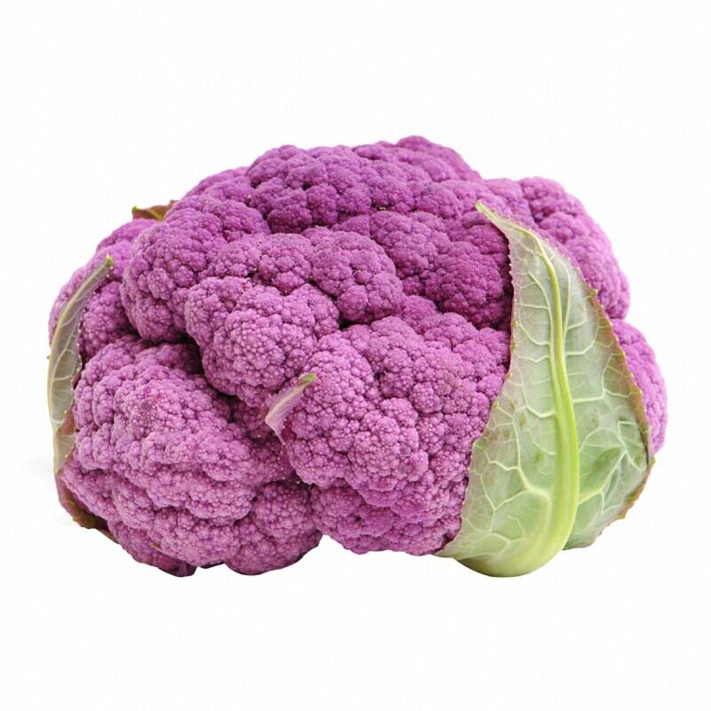 好吃又好看紫晶花菜苗秧紫花菜花椰菜松花菜种子紫色白色四季盆栽
