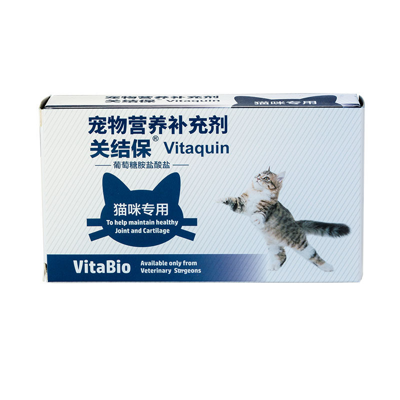 维他宝猫用关结保髌骨折耳猫