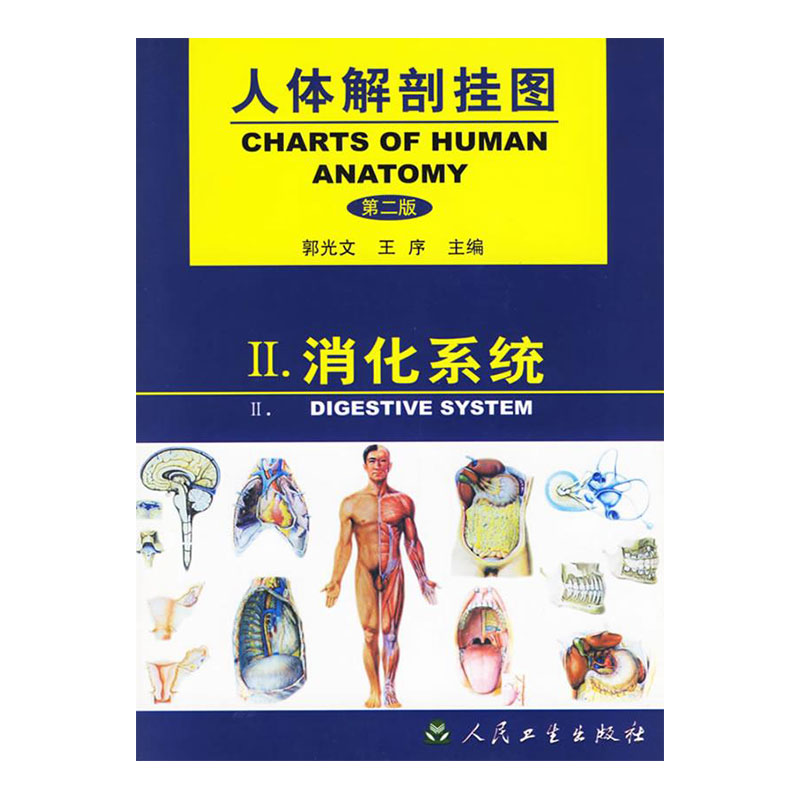 人体解剖挂图 消化系统（二） 王序 主编；郭光文 人民卫生出版社 9787117038034