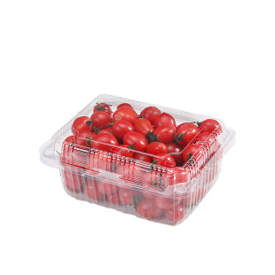 透明一次性水果包装盒有盖500克果蔬盒PET塑料鲜果切打包水果盒子