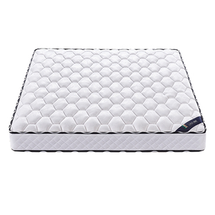 床垫2米×2米弹簧偏硬质护脊椰棕天然乳胶席梦思出租房高端经济型