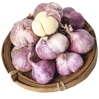 云南大理紫皮三丫三瓣蒜现挖现发不熏硫0添加蒜味醇厚炒菜提香耐