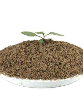 【可开票】种花种菜种果树种绿植
