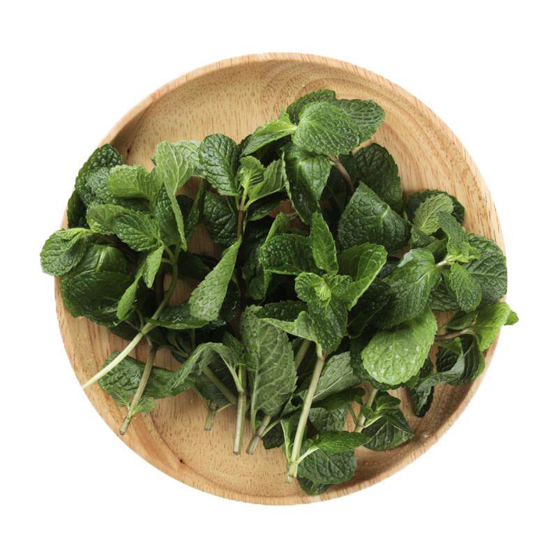 【槿馐】新鲜留兰香薄荷叶500g食用清凉茶烘焙点缀莫吉托调酒装饰