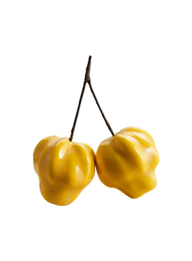 邸高家居样板间书房书柜陈列组合