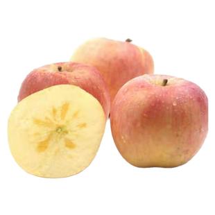 新鲜水果丰县正宗大沙河红富士丑苹果当应季平安果冰糖心一级萍果