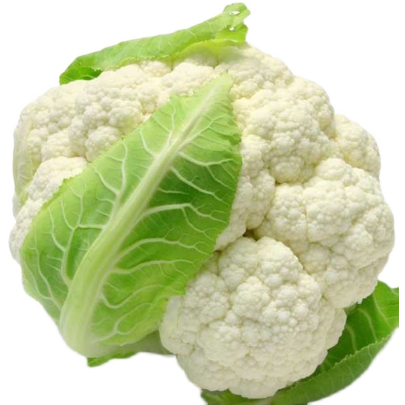菜花甘蓝西兰花种子包对版包发芽