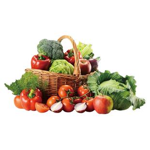 蔬菜种子杭椒甜椒圆茄萝卜丝瓜苦瓜秋黄瓜甜瓜阳台盆栽生菜种籽孑