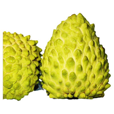 顺丰水蜜晶钻大目释迦果番荔枝