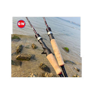 光威路亚竿鱼竿ML调碳素超轻直枪柄金纹龙远投翘嘴鲈鱼富士套装